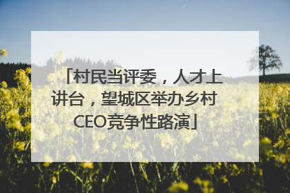 村民当评委，人才上讲台，望城区举办乡村CEO竞争性路演